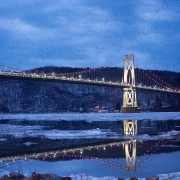 An Icy Night