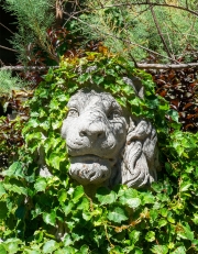 King of the Elizabeth Street Garden