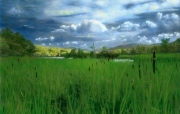 Constitution Marsh Audubon Center, Garrison