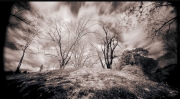 Innisfree Hilltop