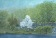 Spring Storm, Innisfree