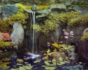 Primrose, Innisfree