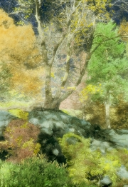 Roots in Stone, Innisfree