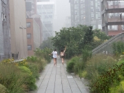 Summer Shower on the High Line