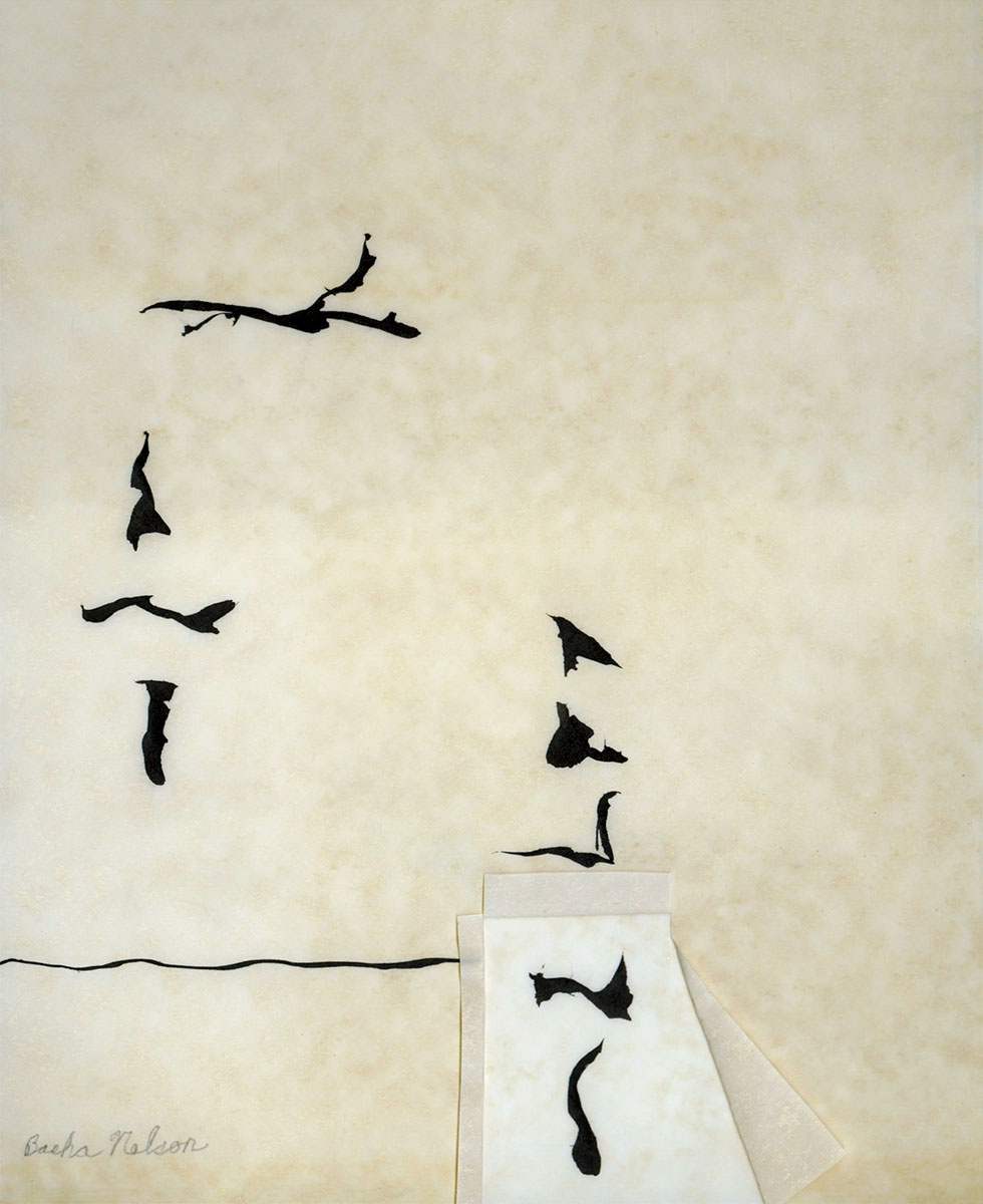 The-Space-Below-Basha-Ruth_Nelson